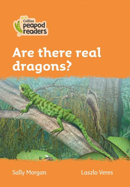 Book cover of: Are there real dragons?. By: Sally Morgan