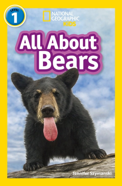 All About Bears, Level 1