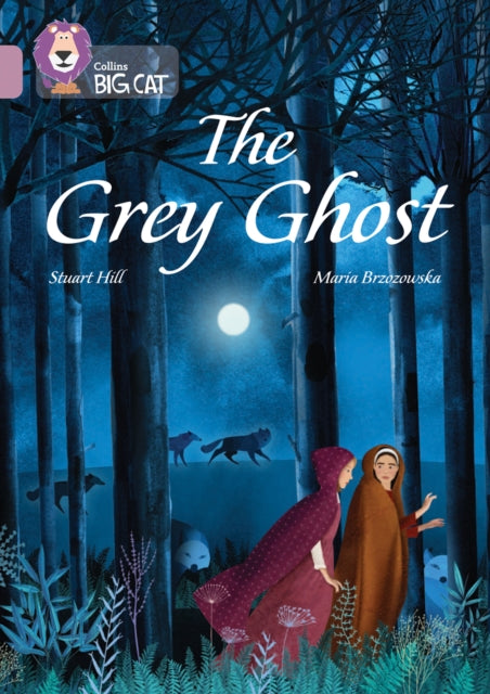Book cover of: Grey Ghost. By: Stuart Hill