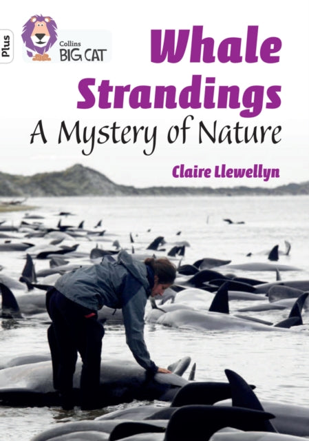 Book cover of: Whale Strandings: A Mystery of Nature. By: Claire Llewellyn