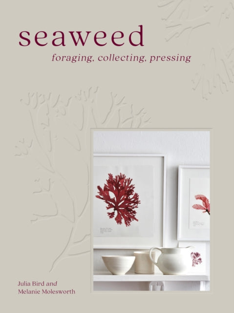 Seaweed, Foraging, Collecting, Pressing 9780008557409 Melanie Molesworth