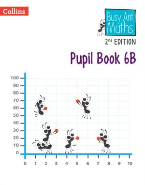 Pupil Book 6B