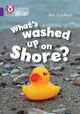 Book cover of: What's washed up on shore?