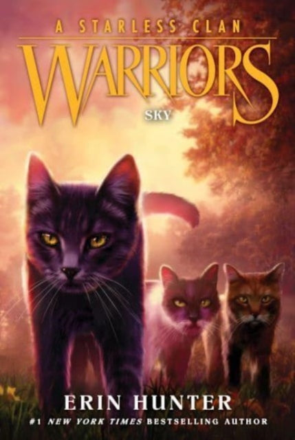 Warriors: A Starless Clan #2: Sky 9780063050174 Erin Hunter