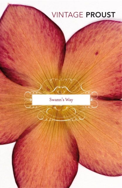 Book cover of: In Search Of Lost Time Vol 1