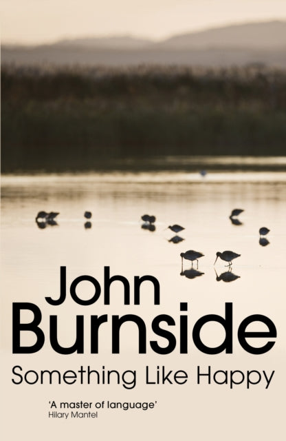 Book cover of: Something Like Happy. By: John Burnside