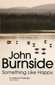 Book cover of: Something Like Happy. By: John Burnside