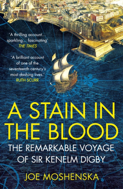 Book cover of: Stain in the Blood. By: Joe Moshenska