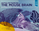 Book cover of: Paxinos and Franklin's the Mouse Brain in Stereotaxic Coordinates. By: George Paxinos