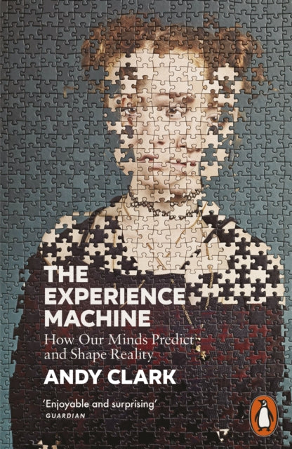 Experience Machine, How Our Minds Predict and Shape Reality