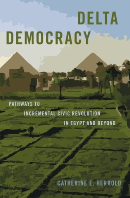 Book cover of: Delta Democracy. By: Catherine E. Herrold