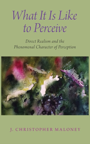 What It Is Like To Perceive