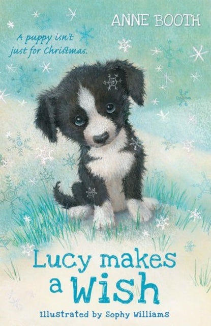 Lucy soovib