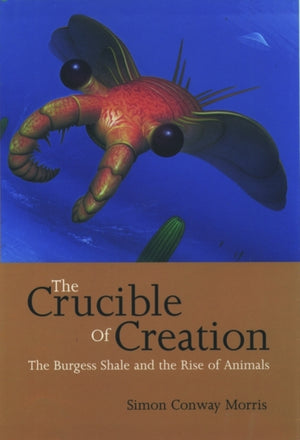 The Crucible of Creation