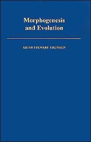Morphogenesis and Evolution