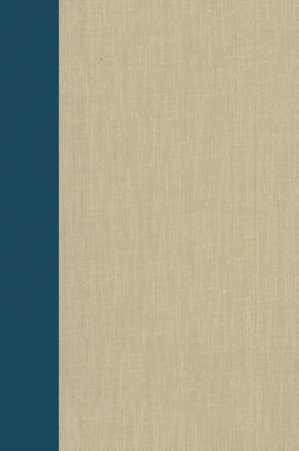 Book cover of: Terrorism Documents of International and Local Control Volume 93. By: Lovelace, Douglas C., Jr.