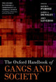 Book cover of: Oxford Handbook of Gangs and Society. By: Pyrooz