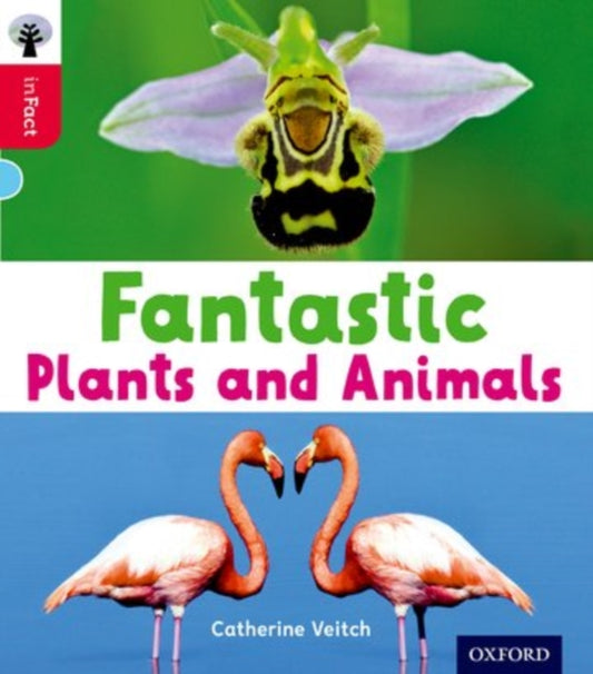 Oxfordi lugemispuu inFact: Oxfordi 4. tase: fantastilised taimed ja loomad