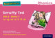 Read Write Inc. Phonics: Scruffy Ted (Pink Set 3 Storybook 1) 9780198371694 Gill Munton