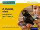 Book cover of: Read Write Inc. Phonics: A Model Bird (Yellow Set 5 Non-fiction 4). By: Gill Munton