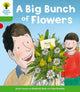 Book cover of: Oxford Reading Tree: Level 2 More a Decode and Develop a Big Bunch of Flowers. By: Roderick Hunt