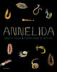 Book cover of: Annelida. By: Greg Rouse