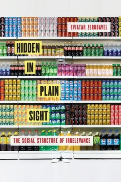 Book cover of: Hidden in Plain Sight. By: Eviatar Zerubavel