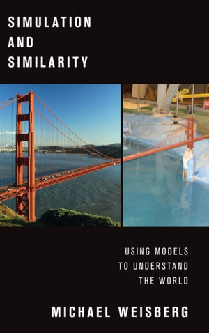 Simulation and Similarity