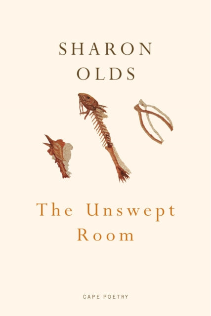 Book cover of: Unswept Room