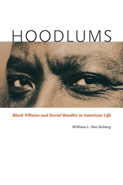 Book cover of: Hoodlums. By: William L. Van Deburg