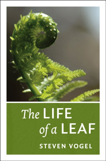 Book cover of: Life of a Leaf. By: Steven Vogel