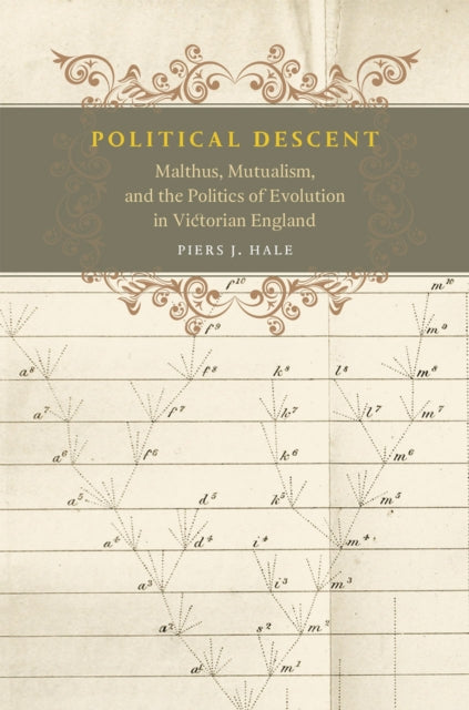 Book cover of: Political Descent. By: Piers J. Hale