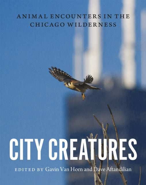 Book cover of: City Creatures