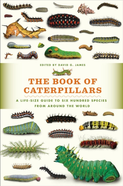 Book cover of: Book of Caterpillars. By: David G. James
