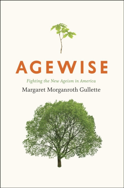 Book cover of: Agewise. By: Margaret Morganroth Gullette