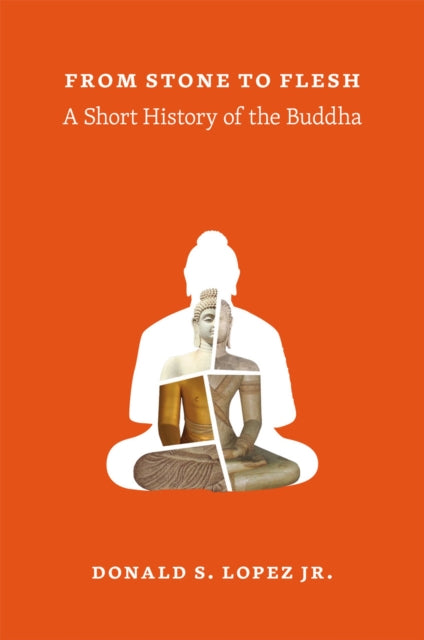 Book cover of: From Stone to Flesh. By: Lopez, Donald S., Jr.