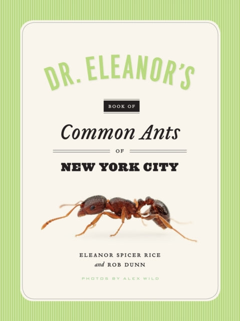 Book cover of: Dr. Eleanor's Book of Common Ants of New York City. By: Eleanor Spicer Rice