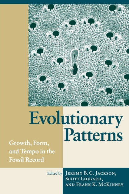 Book cover of: Evolutionary Patterns
