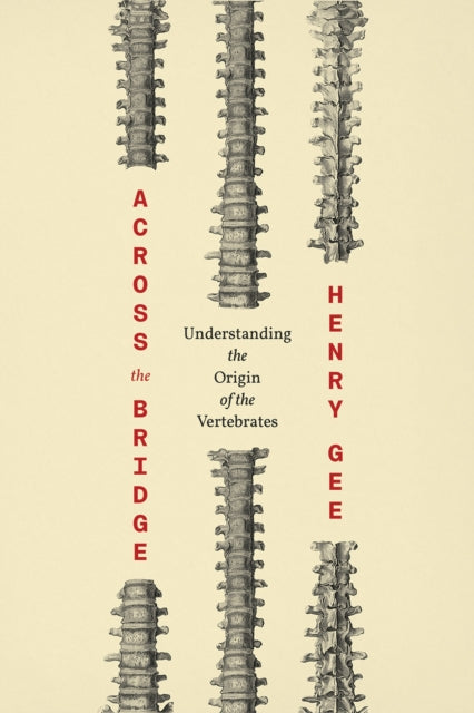 Book cover of: Across the Bridge. By: Henry Gee - undifferentiated