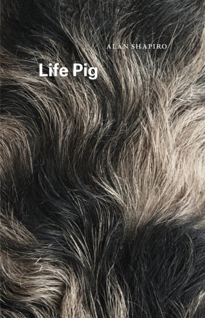 Book cover of: Life Pig. By: Alan Shapiro