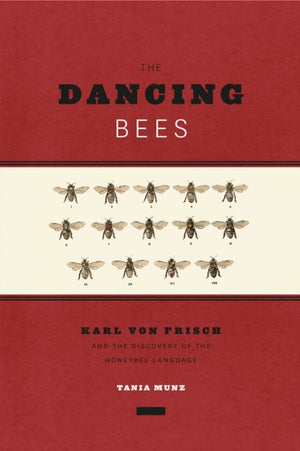 Dancing Bees