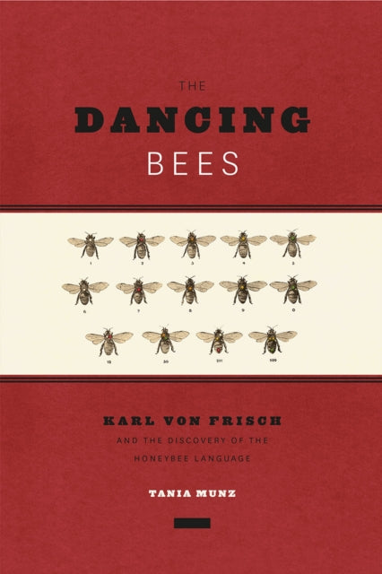 Book cover of: Dancing Bees. By: Tania Munz