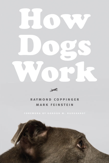 Book cover of: How Dogs Work. By: Raymond Coppinger