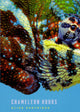 Book cover of: Chameleon Hours. By: Elise Partridge