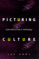 Book cover of: Picturing Culture. By: Jay Ruby