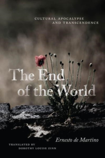 Book cover of: End of the World. By: Ernesto de Martino