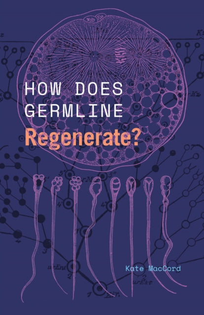 Book cover of: How Does Germline Regenerate?. By: Kate MacCord