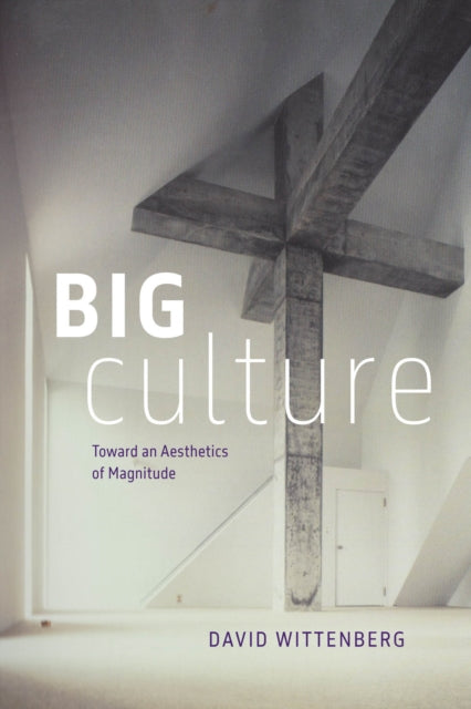 Book cover of: Big Culture