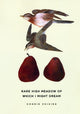 Book cover of: Rare High Meadow of Which I Might Dream. By: Connie Voisine