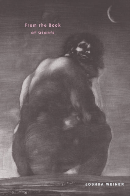 Book cover of: From the Book of Giants. By: Joshua Weiner